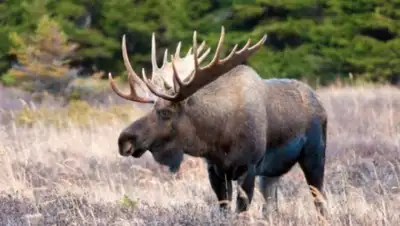 Zakon.kz, фото - Новости Zakon.kz от 14.11.2016 03:26