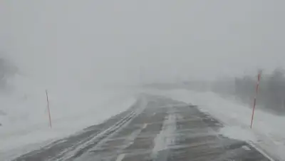 irk.kp.ru, фото - Новости Zakon.kz от 21.03.2018 19:47