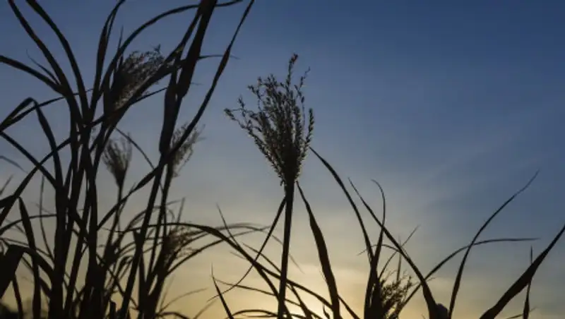 Погода без осадков ожидается в Казахстане 21 марта