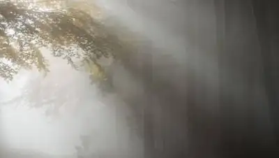 pxhere.com, фото - Новости Zakon.kz от 01.09.2021 17:36