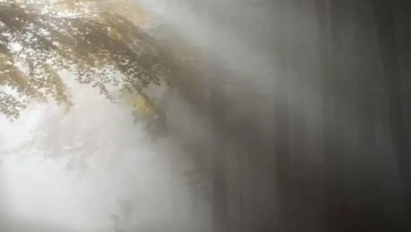 В шести областях Казахстана объявлено штормовое предупреждение