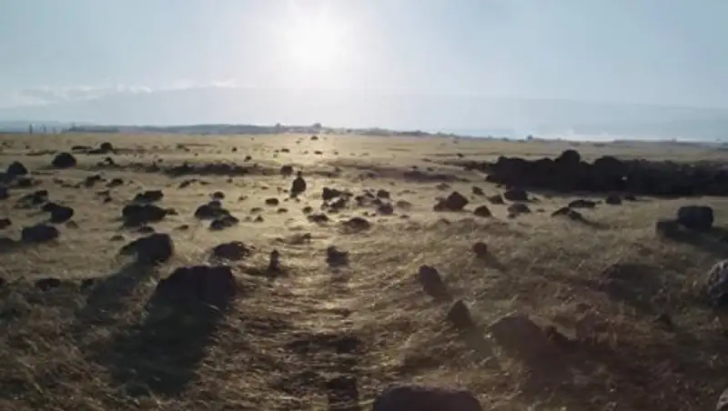 Извержение вулкана покрыло пляжи Гавайев загадочными золотыми "волосами"