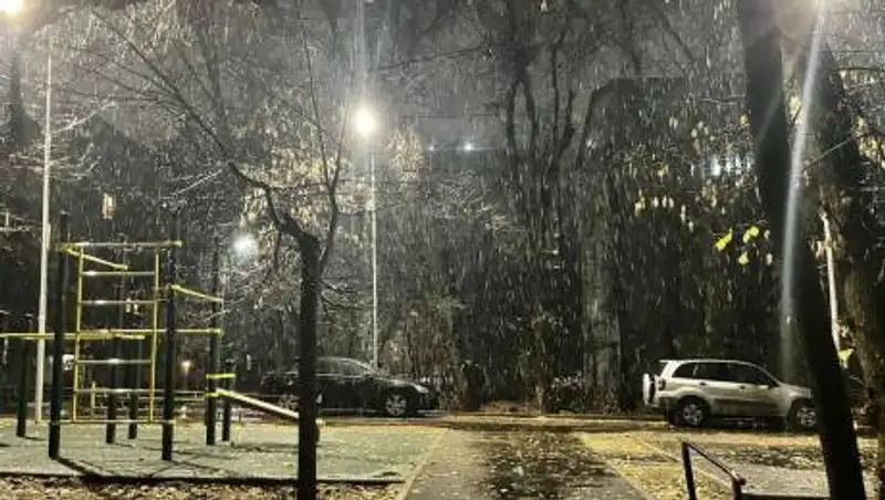 В Алматы выпал первый снег