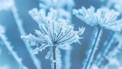 pixabay.com, фото - Новости Zakon.kz от 23.12.2020 10:58