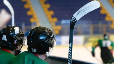 Pixabay, фото - Новости Zakon.kz от 28.02.2020 23:04