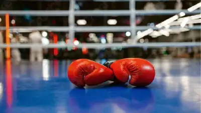 турнир, бой, ринг, вечер бокса, фото - Новости Zakon.kz от 18.12.2021 22:24