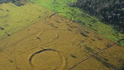 Zakon.kz, фото - Новости Zakon.kz от 07.02.2017 19:29