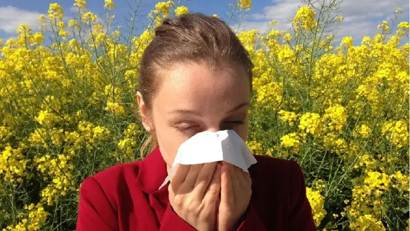 Врач рассказала, когда нужно лечить аллергию