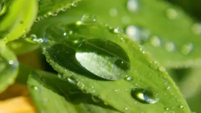 pixnio.com, фото - Новости Zakon.kz от 26.07.2019 09:09