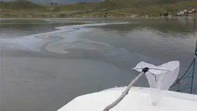 Zakon.kz, фото - Новости Zakon.kz от 25.10.2013 17:21