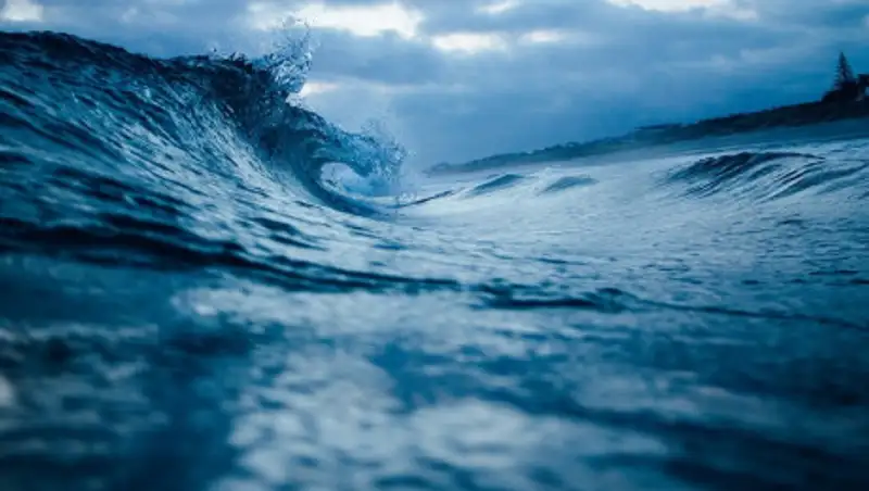 В ЗКО нашли тело, предположительно, пропавшей студентки
