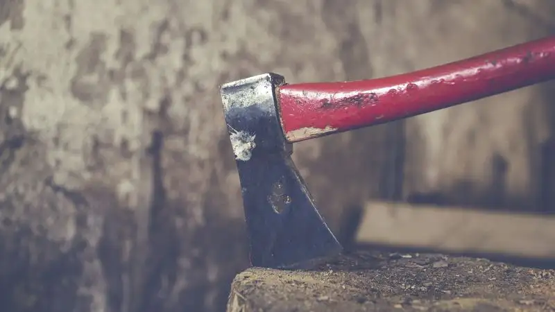 Пенсионер с топором накинулся на воришку в Алматинской области