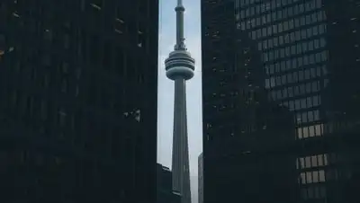 Pixabay, фото - Новости Zakon.kz от 04.12.2020 14:23