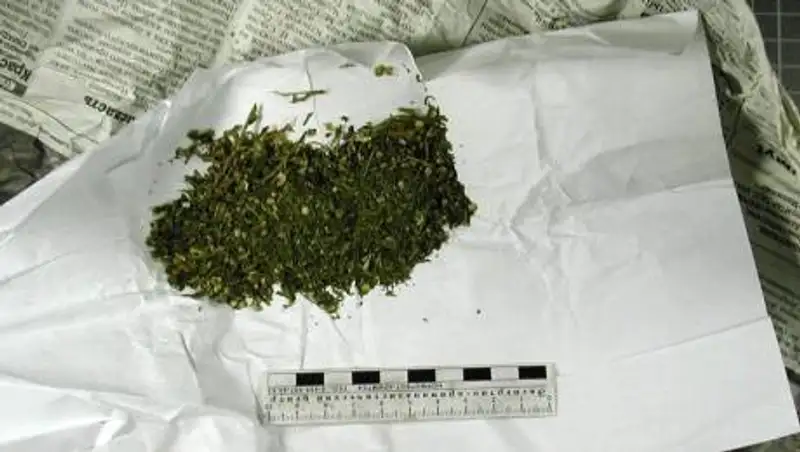 Более 1 млн тенге штрафа заплатит мужчина за провоз марихуаны