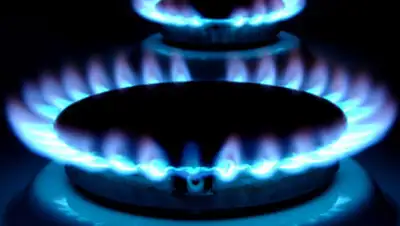 Zakon.kz, фото - Новости Zakon.kz от 05.11.2014 01:47