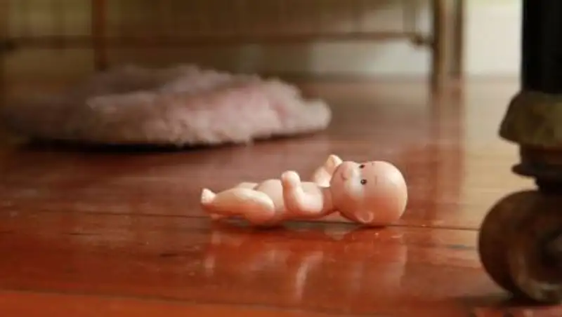 Мать троих детей в Алматы объявили в розыск, а ее землю продали