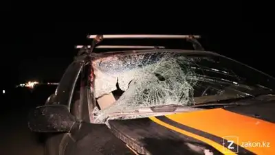 zakon.kz., фото - Новости Zakon.kz от 14.09.2021 09:08