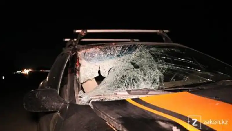 Водитель насмерть сбил пешехода на трассе Алматы-Капшагай