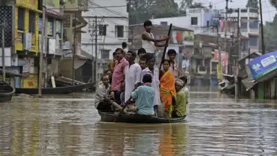 bigpicture.ru, фото - Новости Zakon.kz от 20.11.2019 10:29