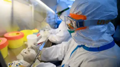 inform.kz, фото - Новости Zakon.kz от 29.03.2020 12:12