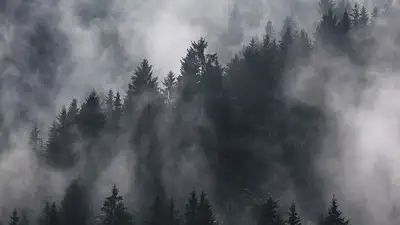 В Атырау и в Алматы ожидается повышенное загрязнение воздуха, фото - Новости Zakon.kz от 11.11.2023 02:12