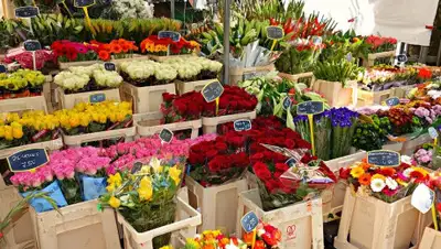 франчайзи, фото - Новости Zakon.kz от 03.03.2020 07:52