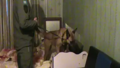 пресс-служба ДП Алматы, фото - Новости Zakon.kz от 14.03.2019 11:52