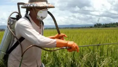 Zakon.kz, фото - Новости Zakon.kz от 08.06.2017 01:33