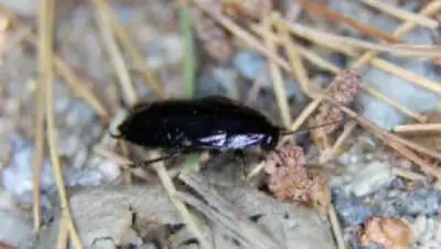 DezBox, фото - Новости Zakon.kz от 31.05.2018 01:38