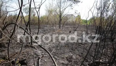 mgorod, фото - Новости Zakon.kz от 18.07.2020 14:33