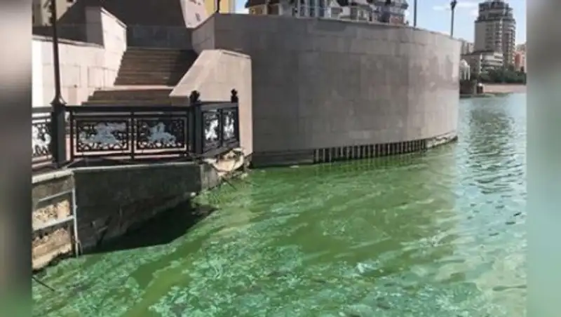 Жители Нур-Султана ужаснулись зеленой водой в Есиле