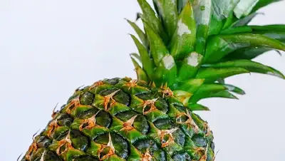 продукт, употребление, врач, фото - Новости Zakon.kz от 14.12.2021 06:18