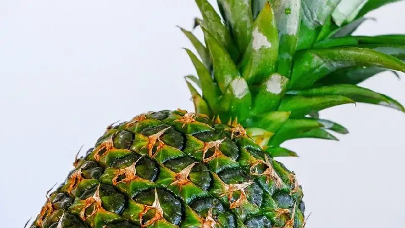 Названы условия, при которых не следует есть ананасы
