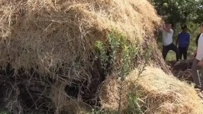 Zakon.kz, фото - Новости Zakon.kz от 06.09.2017 10:25