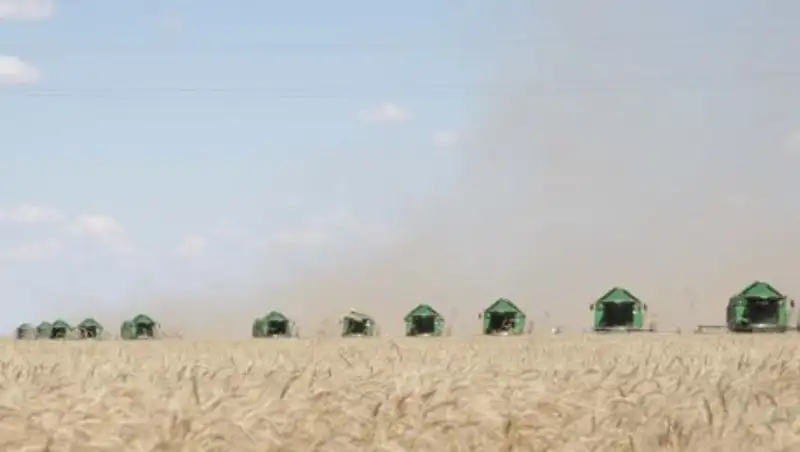 В Жамбылской области 700 мелких хозяйств объединились в сельскохозяйственные кооперативы