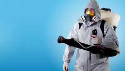 domovod.guru, фото - Новости Zakon.kz от 19.08.2020 23:55