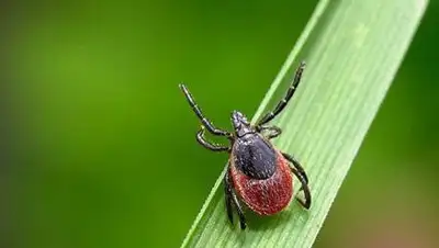 Zakon.kz, фото - Новости Zakon.kz от 29.07.2014 21:42