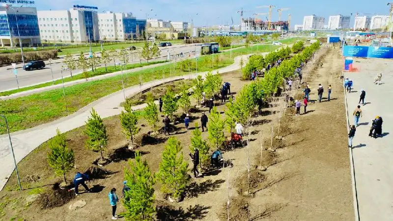 Весенний сезон озеленения в рамках BI Green продолжается