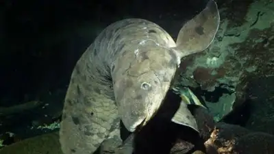 Zakon.kz, фото - Новости Zakon.kz от 07.02.2017 23:19