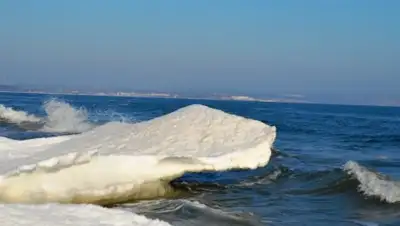 VistaNews.ru, фото - Новости Zakon.kz от 16.04.2018 13:42