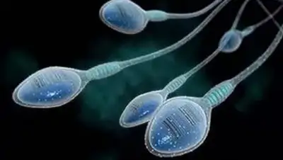 Zakon.kz, фото - Новости Zakon.kz от 26.02.2016 23:56