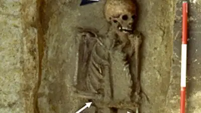 Micarelli et al. / Journal of Anthropological Sciences, фото - Новости Zakon.kz от 13.04.2018 20:24