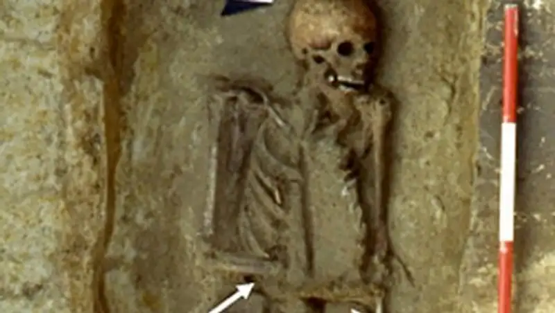 В старинной могиле нашли первого в мире киборга