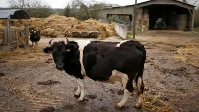 unian.net, фото - Новости Zakon.kz от 13.11.2019 14:39