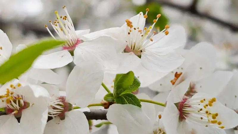 Какой будет погода в Астане, Алматы и Шымкенте 13-14 апреля