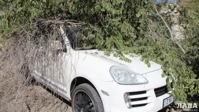 Zakon.kz, фото - Новости Zakon.kz от 10.08.2015 20:00