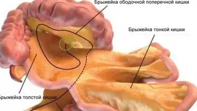 Zakon.kz, фото - Новости Zakon.kz от 05.01.2017 06:27