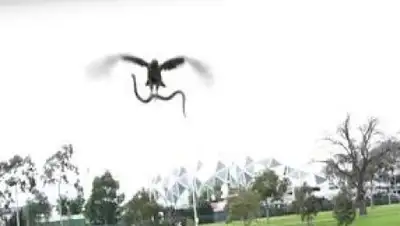 Zakon.kz, фото - Новости Zakon.kz от 01.09.2016 05:25