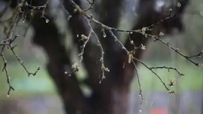 Zakon.kz, фото - Новости Zakon.kz от 16.05.2016 15:33