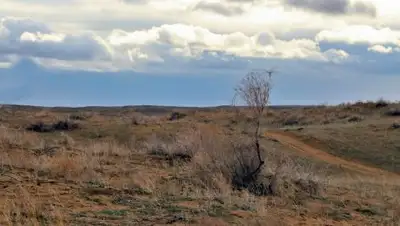 Zakon.kz, фото - Новости Zakon.kz от 03.04.2017 19:33